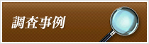 調査事例